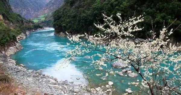 干鱿鱼的做法大全+家常做法？游戏画面