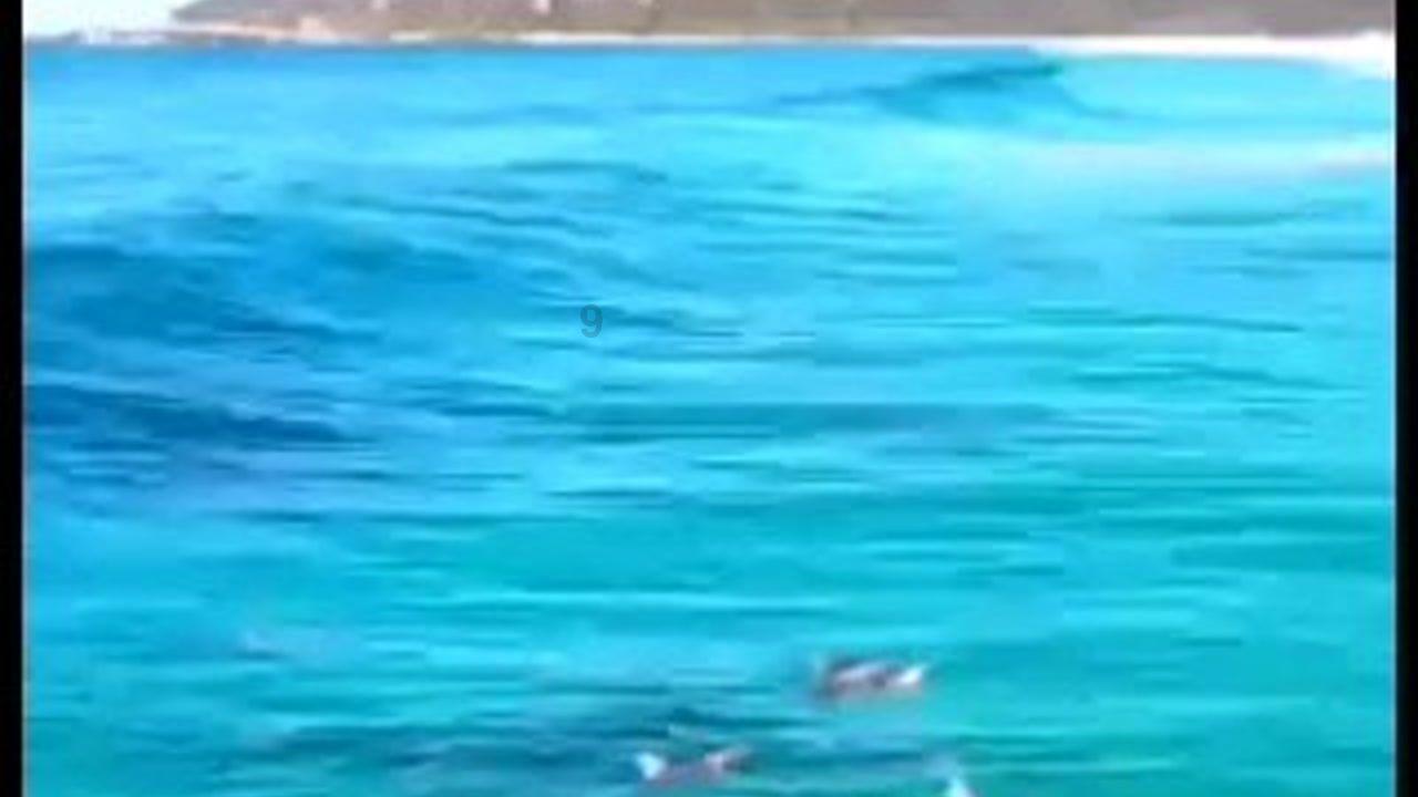 热血NBA万圣节篇